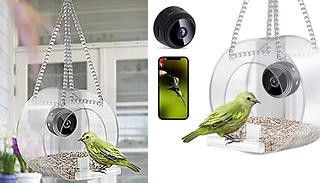 Transparent Bird Feeder with Optional Camera - 3 Designs