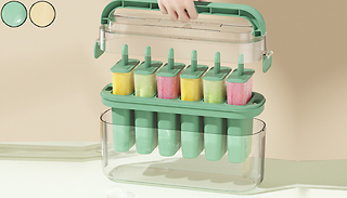 6 Ice Lolly Popsicle Freezer Moulds - 2 Colours