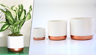 1 or 3 Two-Tone White & Rose Gold Ceramic Plant Pots - 3 Sizes