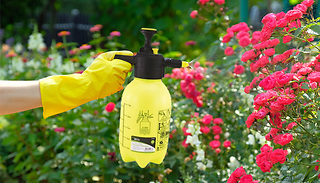 2L Heavy Duty Garden Hand Pump Spray Bottle