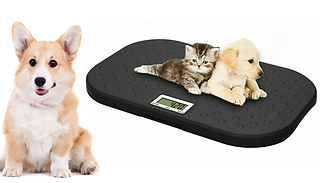 Large Electronic Pet Scale - Up to 40KG