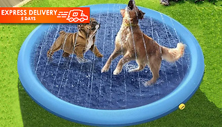 Pet Shallow Sprinkler Paddling Pool - 3 Sizes