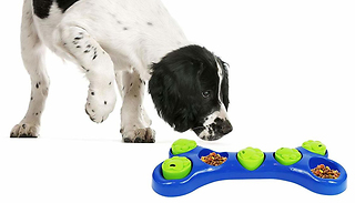 1 or 2 Bone Shaped Treat Puzzle For Dogs 