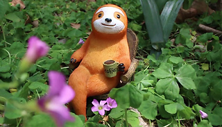 Outdoor Garden Sloth with Tea Statue