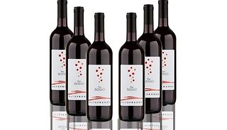 6 Bottles of Arione Piedmont Merlot Blend Red Wine