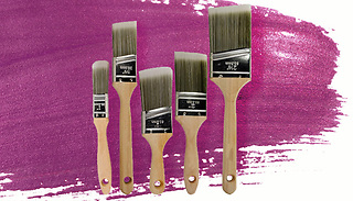 5-Pack Angled Paint Brushes Variety Pack