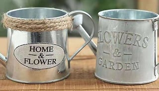 1 or 2 Vintage Style Iron Watering Can Plant Pots - 2 Styles