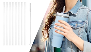 8-Pack Reusable Replacement Straw with Cleaning Brush - 2 Styles