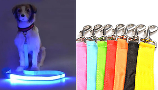 USB Rechargeable LED Dog Leash - 2 Options & 8 Colours