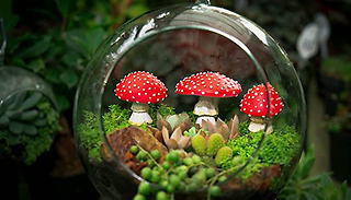 1 or 2 Glow-in-the-Dark Mushroom Garden Ornament Sets