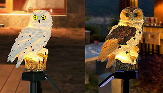 Solar-Powered Owl LED Garden Light - 2 Colours