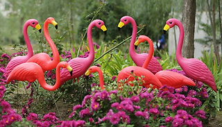 2 Flamingos Outdoor Decoration Statues - 2 Styles & 2 Colours