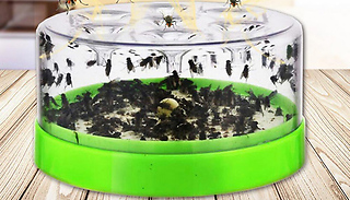 Automatic See-Through Fly Trap