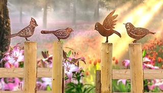 4-Piece Antique-Inspired Metal Birds Decor!