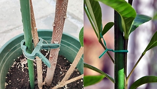 31-Piece Reusable Plant Support Set!