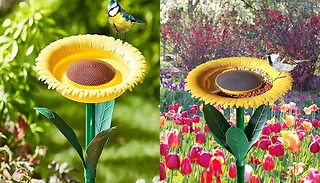 2-in-1 Sunflower Garden Feeder and Bath!