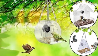 Bird Feeder with Optional Camera - 3 Styles