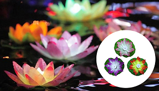 1 or 2-Pack of Multicolour LED Floating Lotus Flower Light - 5 Colours