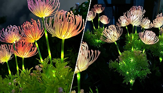 1 or 2-Pack Solar Outdoor Equinox Flower Lights!