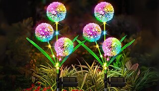 2 or 4-Pack Outdoor Waterproof Solar Dandelion Lights