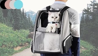 Ventilated Mesh Pet Backpack Carrier - 4 Colours