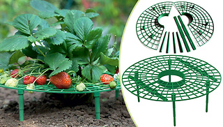 Strawberry Fruit Garden Support Rack