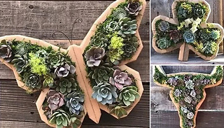 Animal Shaped Succulent Plant Box - 4 Designs
