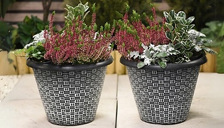 Rattan Effect Plant Pot - 1, 2, 3 or 4-Pack!