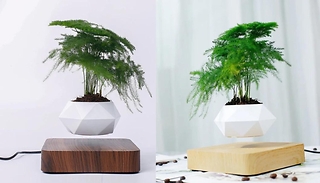 Magnetic Levitation Bonsai Planter -2 Colours
