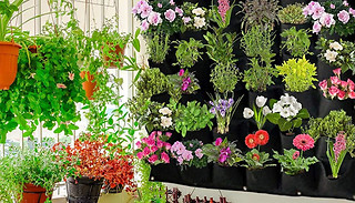 Non-Woven Pocket Wall Planter - 7 Sizes & 2 Colours 