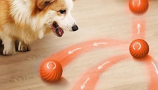 Smart Interactive Self Rolling Pet Toy - 2 Colours