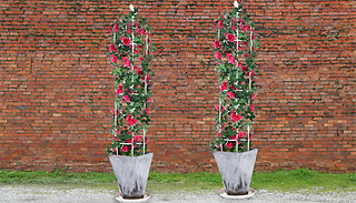 Set of 2 Climbing Plant Obelisk Trellis Planters - 2 Sizes