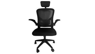 ALIVIO Ergonomic Desk Chair with Adjustable Lumbar Support