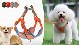 Reflective Dog Harness and Leash Set - 4 Colours & 4 Sizes