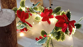2M Christmas Decoration Red Flower Lights