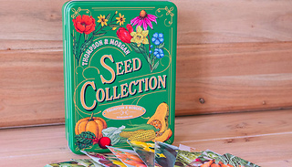21cm Green Seed Collection Tin