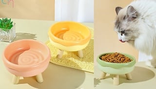 Four Legged Raised Pet Food Bowl - 3 Colours!