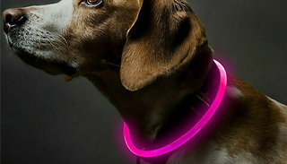 1 or 2 Rechargeable LED Luminous USB Pet Collars - 4 Colours