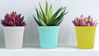10 or 20 Pack of 2.7-Inch Square Plant Pots