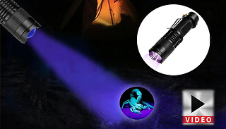 Purple UV Mini Flashlight