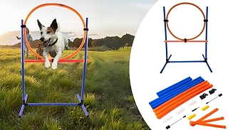 Dog Agility Training Hoop Kit