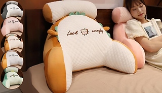 Lumbar Support Bed Pillow - 5 Designs, 2 Sizes