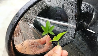 Wing Mirror Rain & Fog Repellent Film - 2, 4 or 6-Pack!