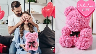 Valentine's Day Rose Teddy Bear With Gift Box - 10 Colours & 2 Sizes