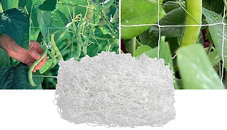 Climbing Plants Growing Net - 3 Sizes