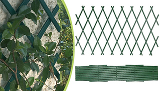Expandable Climbing Plant Support Fence