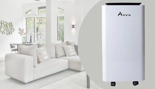Home & Office 10L/Day Smart Dehumidifier