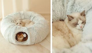 Cat Tunnel Bed