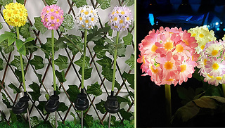 LED Dandelion Flower Ball Solar Lawn Light - 4 Colours