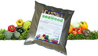 Seaweed Meal Organic Soil & Plant Food - 5KG or 25KG